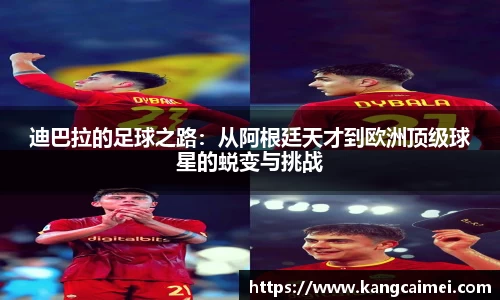 PA视讯官网