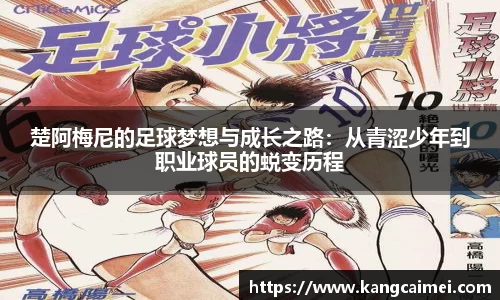 PA视讯手机官方