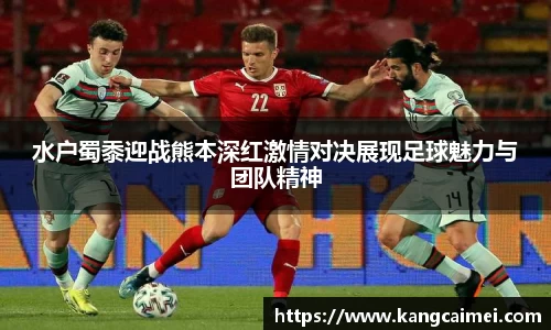 PA视讯官网